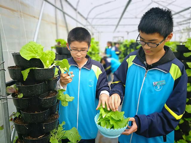 自建蔬菜大棚和动物园，汶上的这两所学校火了