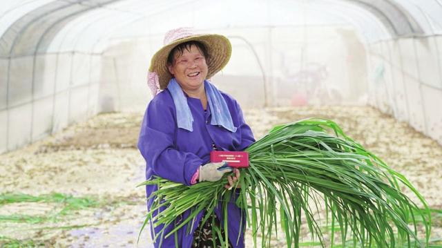 乐陵小蚂蚱“飞”到海南岛