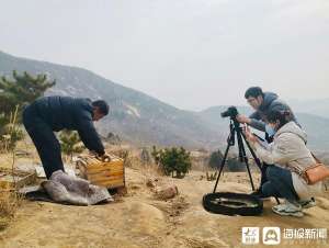 小苹果的养殖(毛坪村的“逆袭之路”：小苹果从山沟走向世界)