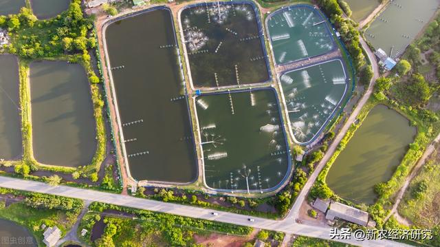 水产养殖基地“智慧化”建设路径思考