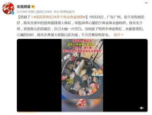 兰寿金鱼养殖场(悲剧了插排掉鱼缸，26条兰寿金鱼被煮熟……)