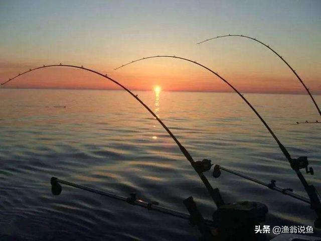 水库泥鳅精！广东水库老乡钓起“巨鳅”，当地人：几十年没过了