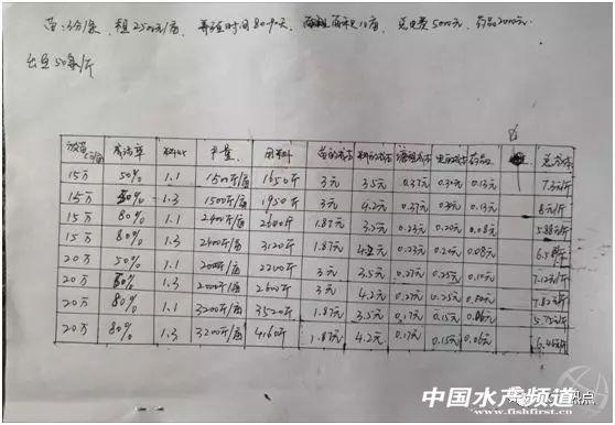 调研｜泥鳅价格3个月跌幅达7元，台湾泥鳅该怎么养？