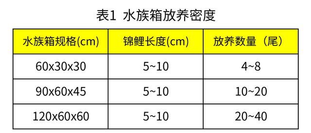 两个公式和两个表格，让你合理安排锦鲤的放养密度