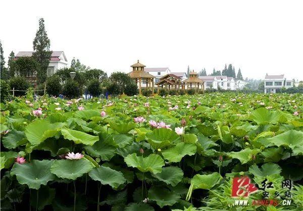 常德这个村美得惊艳全国！入选首批全国乡村旅游重点村，还发“福利包”