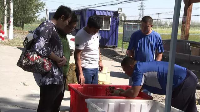 今日丰收节！宝坻稻田蟹大受青睐