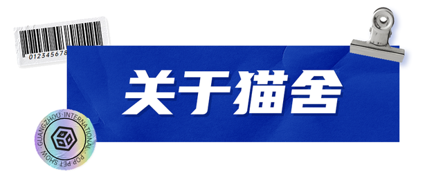 以培养健康猫咪为使命的浩一名猫—缅因库恩猫繁育基地！