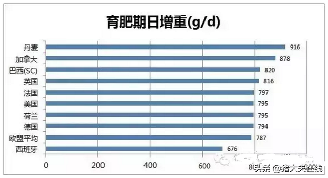 弃其所短，取其所长---世界各国养猪数据大分享