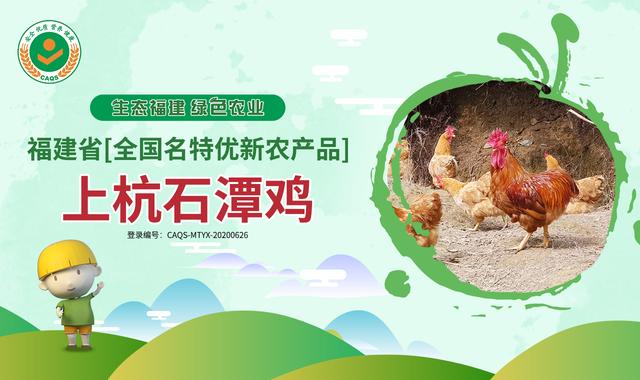 上杭石潭鸡 味香营养 土鸡精品｜福建省【全国名特优新农产品】