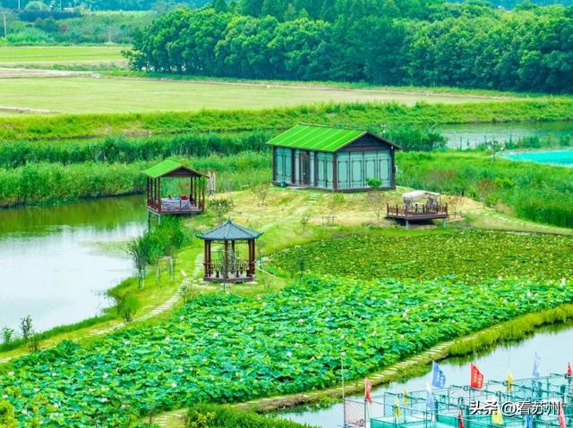 喜报！苏州新增3家省级水产良种（繁育）场