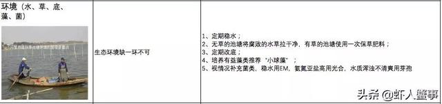 河蟹五壳损蟹，伤亡？啥原因？如何解决？一图告诉你