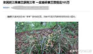 麂子人工养殖(在农村, 禁止农民捕捉4种动物, 20只以上就犯罪)