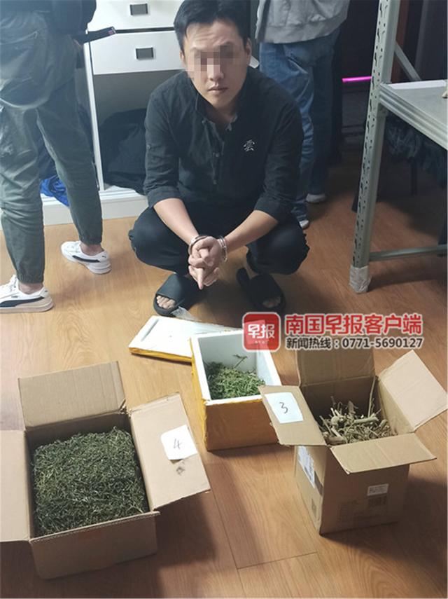 南宁两男子在卧室种植大麻，自己吸食不完还卖给他人