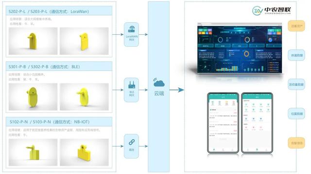 五个实用的养牛场改造的方案，让养牛获得智能化收益提升