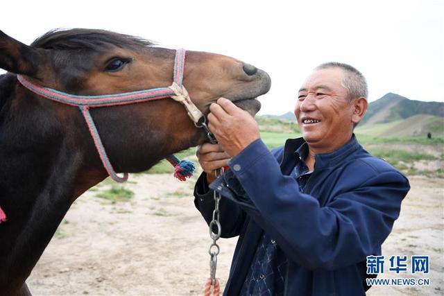 相马“伯乐”李怀智的好日子