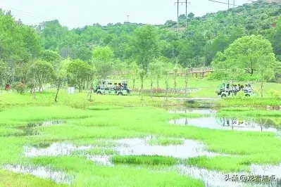 汀江湿地：敢教山河披绿装