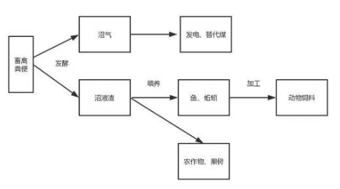 生态养殖以及其好处，了解一下！