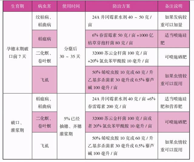 稻田养殖小龙虾水稻插秧后的管理技术要点