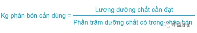 硅藻是什么？对于养虾又有什么作用？高手分享3大培育硅藻的方法