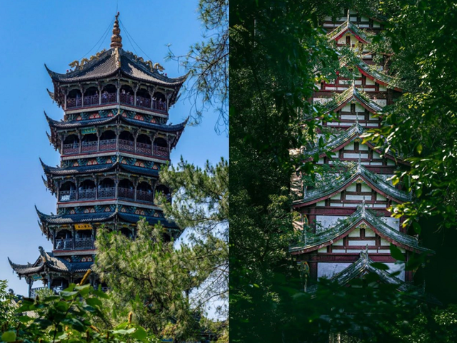 做好充足的准备，打卡成都必去的熊猫基地（附门票+游玩路线）