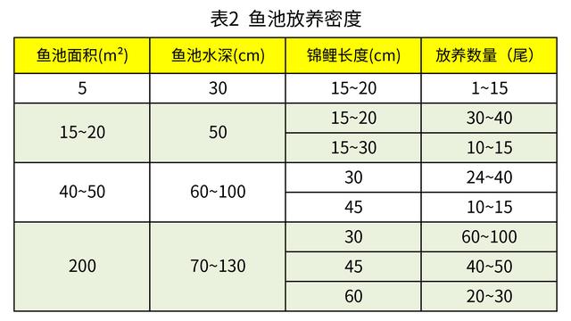 两个公式和两个表格，让你合理安排锦鲤的放养密度