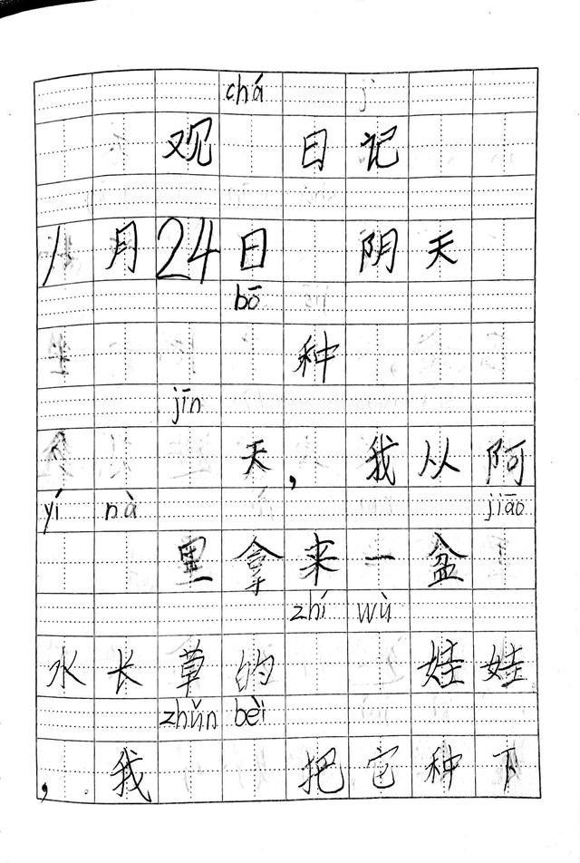 植物生长观察日记（1）