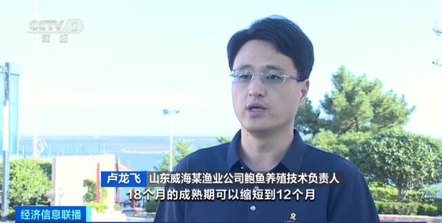 产量倍增！山东荣成“北上南下”养鲍鱼 ，加快建设“海上粮仓”