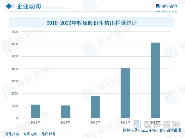 收藏！一文看懂生猪养殖行业市场现状及未来发展趋势预测