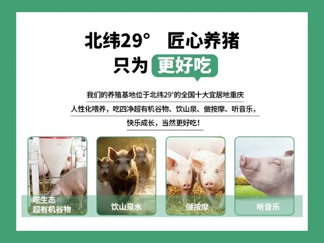 原野小猪：主打生态猪肉 尽享健康人生