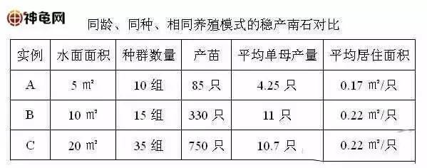 小龟池，大互动！这15个龟池问题都是90%龟友经常遇到的