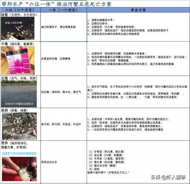 河蟹五壳损蟹，伤亡？啥原因？如何解决？一图告诉你