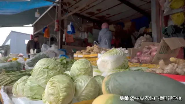 【田间示范秀】养好湖羊卖好价