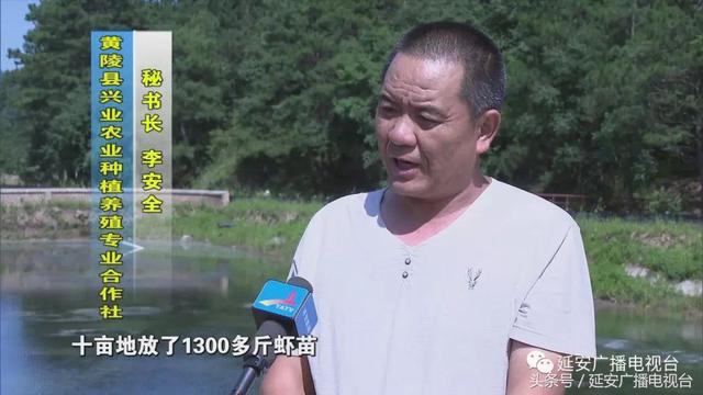 黄陵县：让特色养殖成为百姓致富的摇钱树