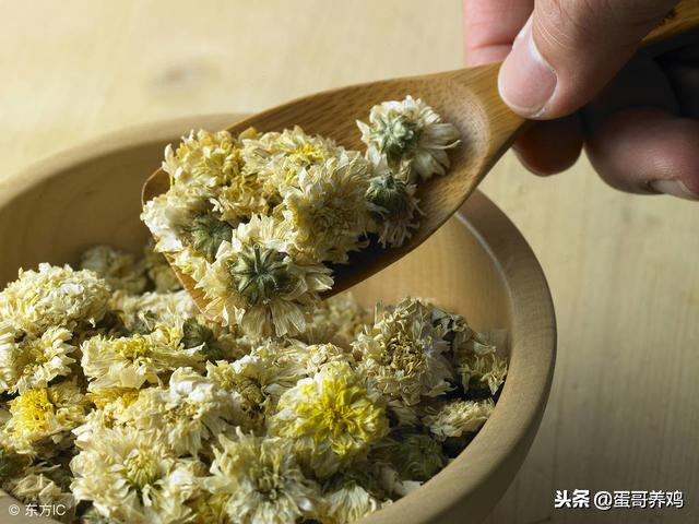 养鸡秘诀：菊花在养鸡中的妙用，养鸡人收藏一下吧！