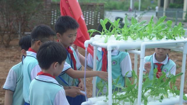 广西北流：建成占地超两千平方米的校外劳动科普基地