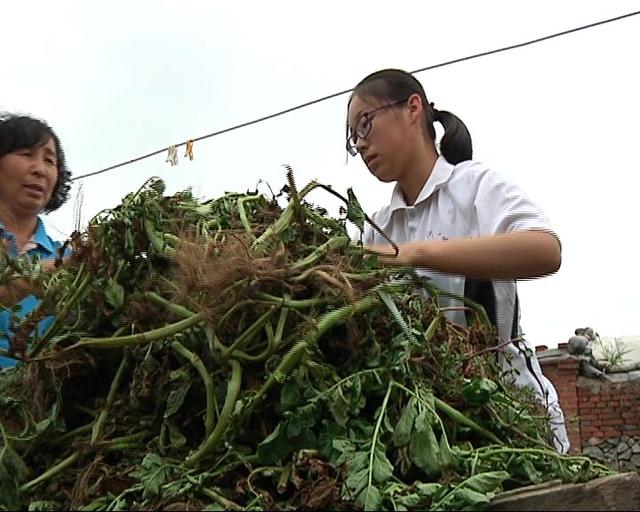 圆梦｜孝顺懂事的女孩——唐明圆