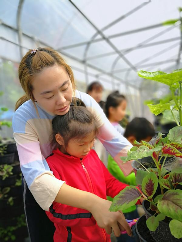 自建蔬菜大棚和动物园，汶上的这两所学校火了