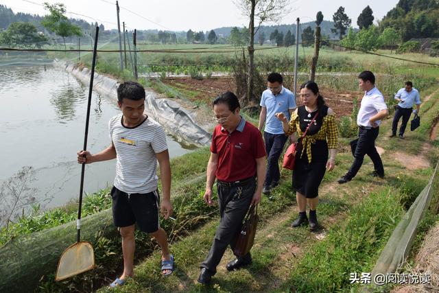 九零后青年农民工返乡创业，养殖泥鳅闯出致富新天地