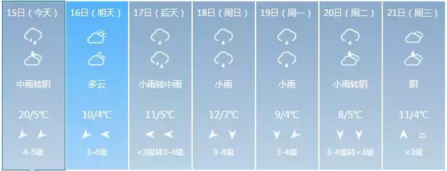 阜阳这场雨有多大？网友：大雁被砸下来了！后面还有几天雨