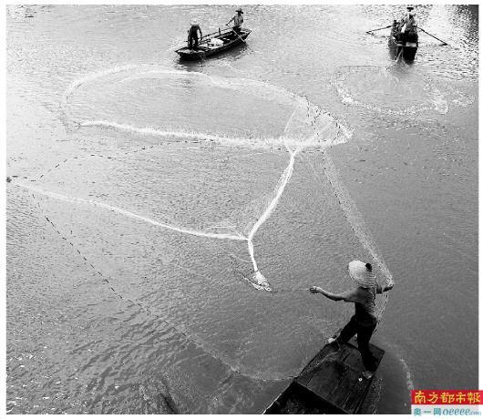 “中国海鲈之都”花落珠海