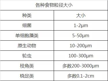 金九银十，如何牢牢抓住花白鲢黄金生长期？关键就在这几点