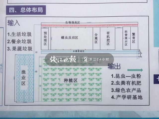 浙大教授“捡”垃圾打造昆虫农场 专门消灭餐厨垃圾