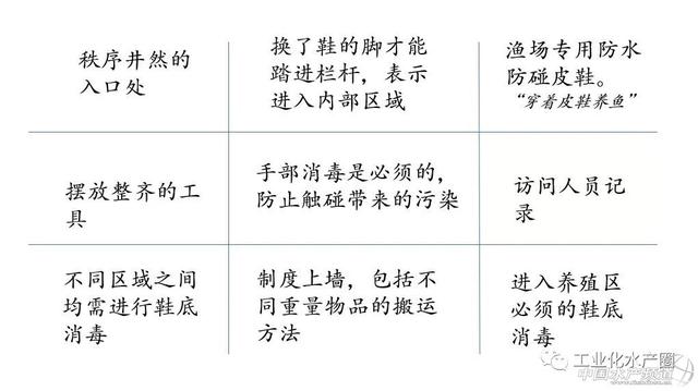 二十几年连续盈利，看丹麦人怎么做到低成本循环水养殖