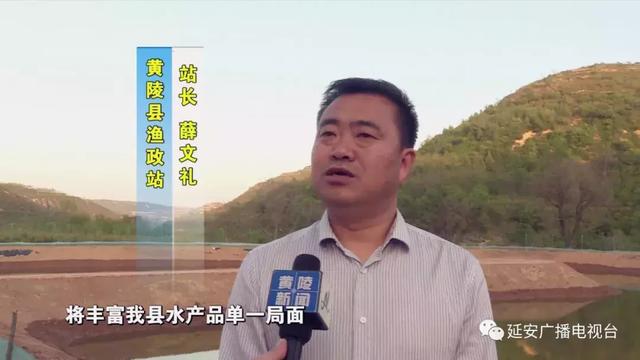 延安黄陵县：与青山为邻 向绿水“淘金”