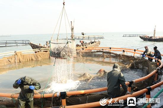 山海天：水产养殖走向“深蓝”，激活高质量发展“蓝色动能”