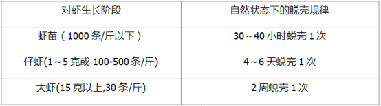 对虾养殖：一年之计在冬棚！冬棚做好一件事，亩产高达1000斤