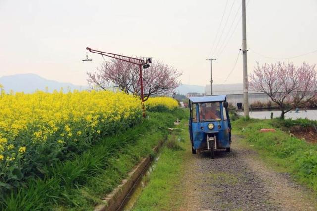 “珍珠之恋”把珍珠蚌育苗场地建成国家级健康养殖场