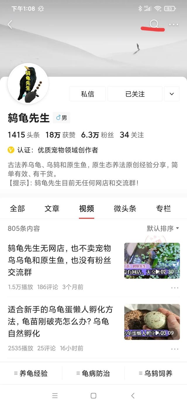 沼泽过滤乌龟缸制做 新手可看，老手勿看浪费时间