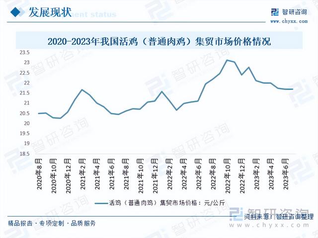 【前景趋势】一文读懂2023年肉鸡养殖行业未来发展前景