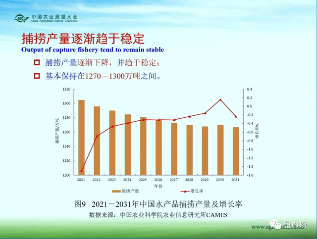 消费潜力巨大？产量稳中有涨？未来十年国内水产品市场趋势如何？